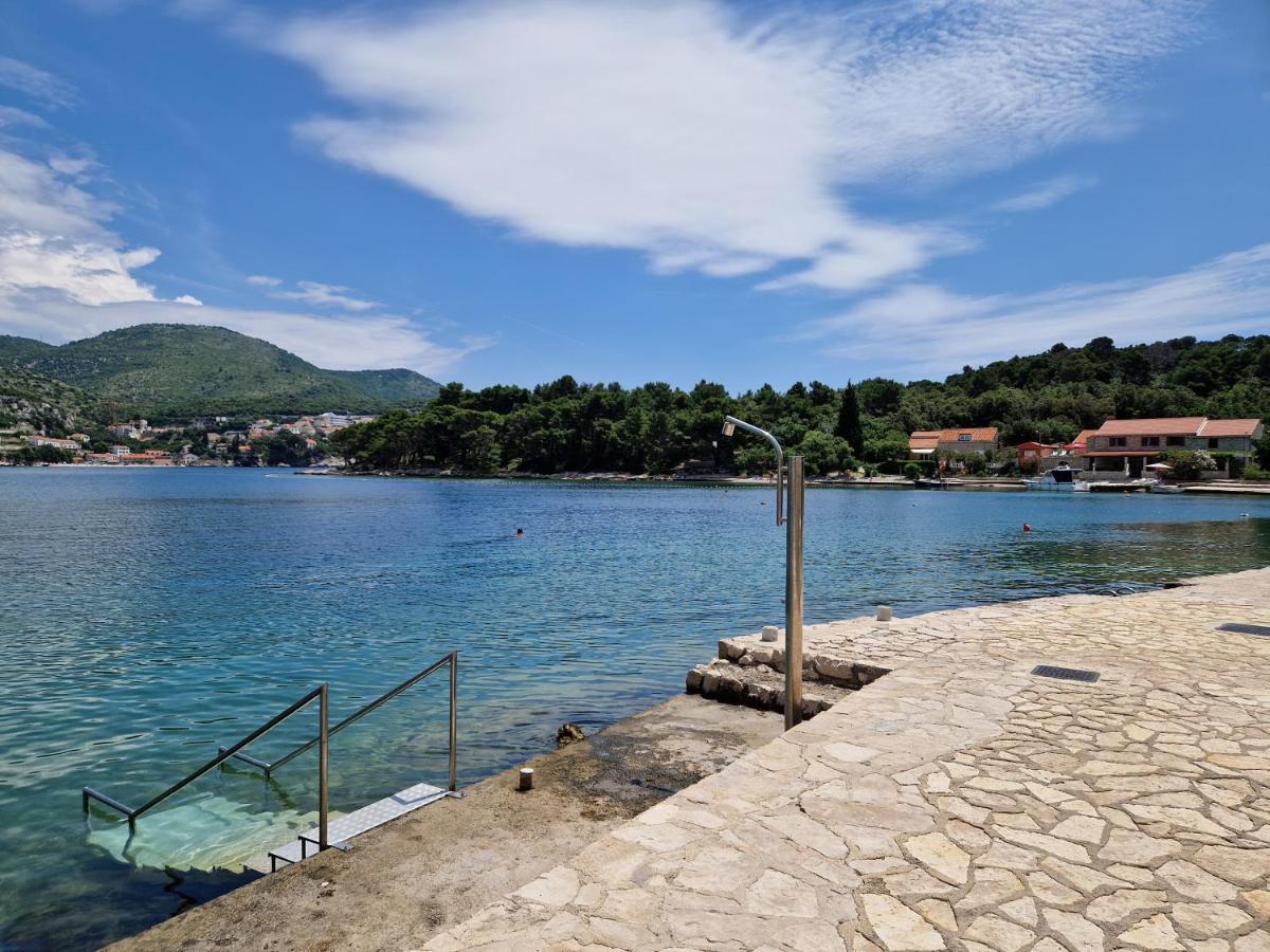 Apartament Vitis *