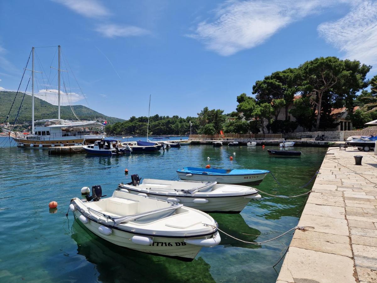 Vitis * Zaton (Dubrovnik-Neretva)