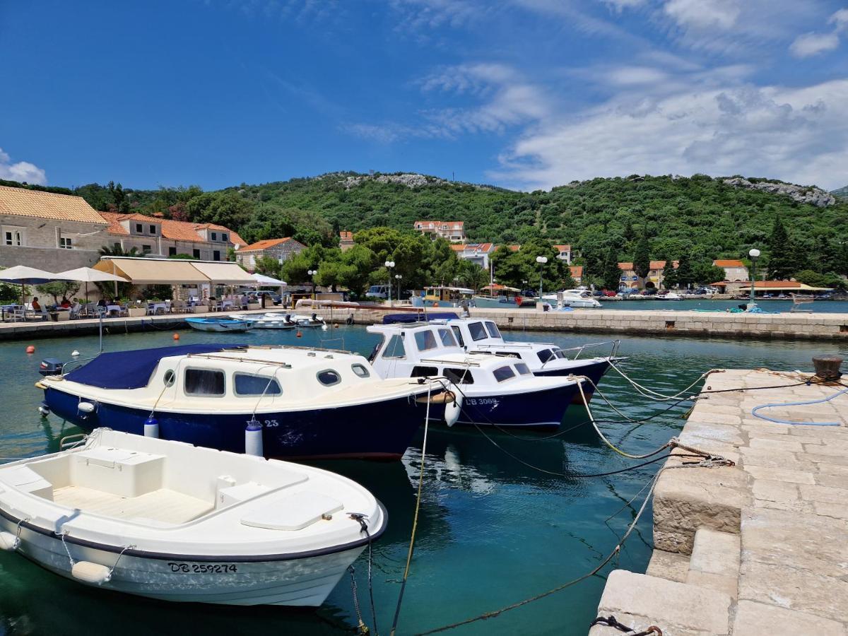 Apartment Vitis Zaton (Dubrovnik-Neretva)