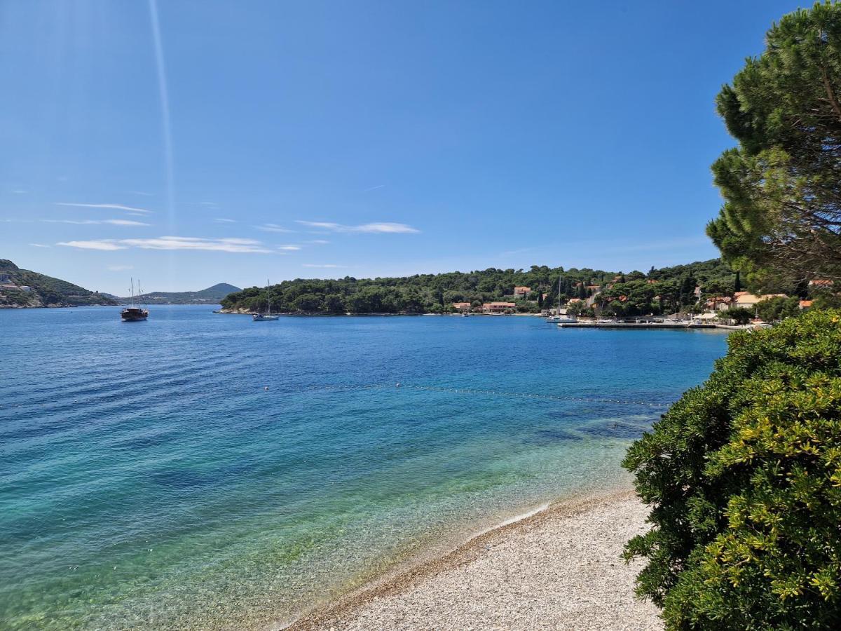 Apartament Vitis *
