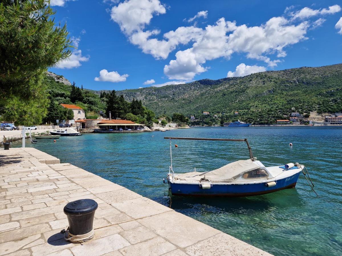 Vitis Zaton (Dubrovnik-Neretva)