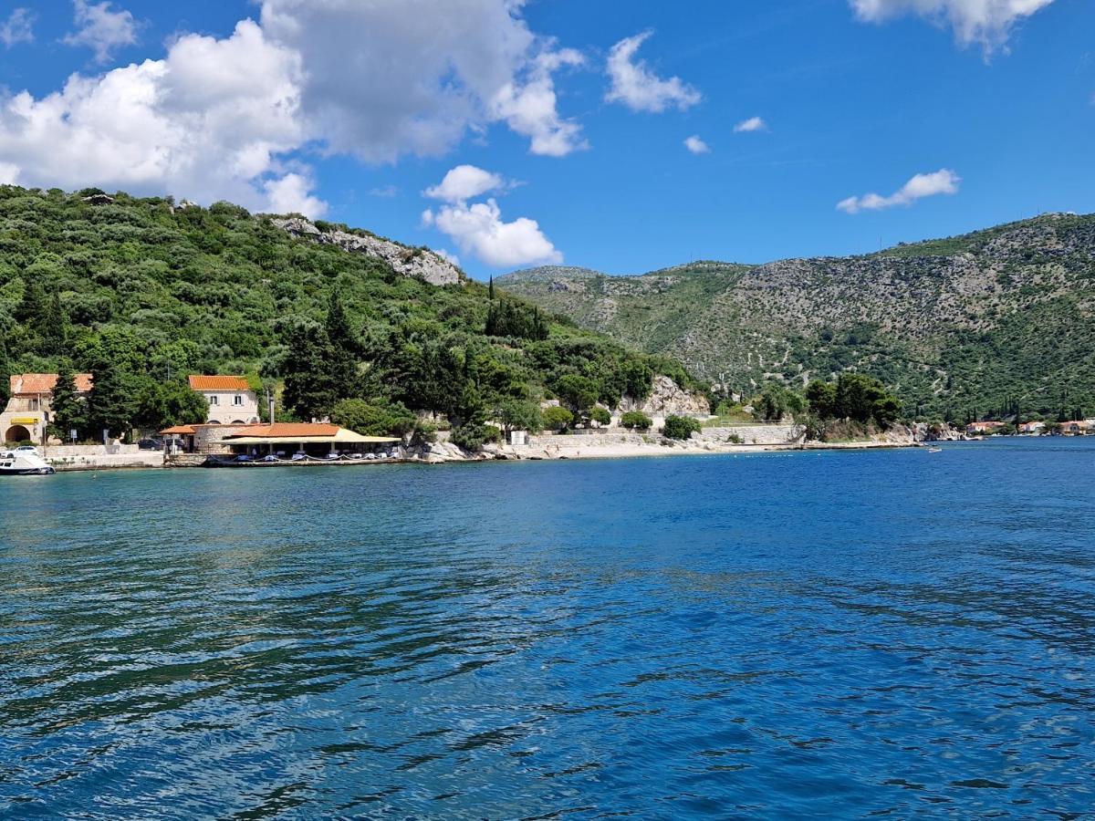 Vitis * Zaton (Dubrovnik-Neretva)